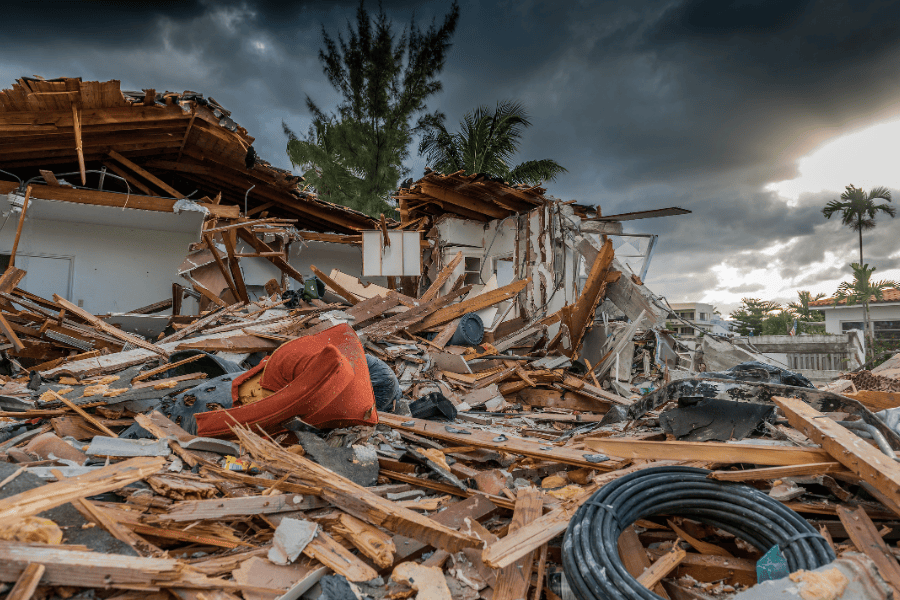 A photo of hurricane damage with palm trees from flooding and hurricanes/natural disasters.
